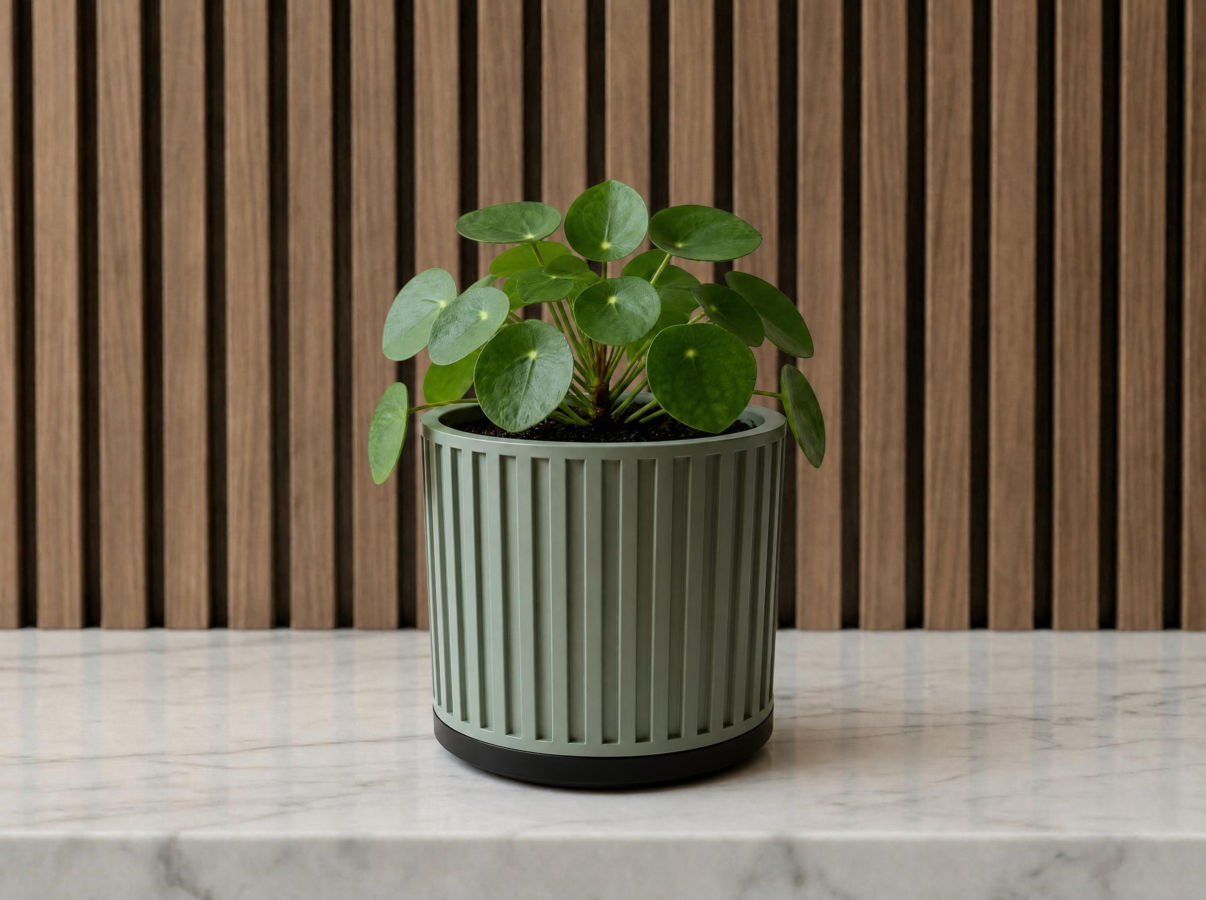 Ribbed Planter with Drainage Tray, Modern Fluted Plant Pot, Sage Green Indoor Planter, Housewarming Gift